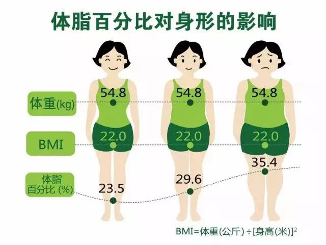 体脂率与身材的关系：为什么体重不是衡量肥