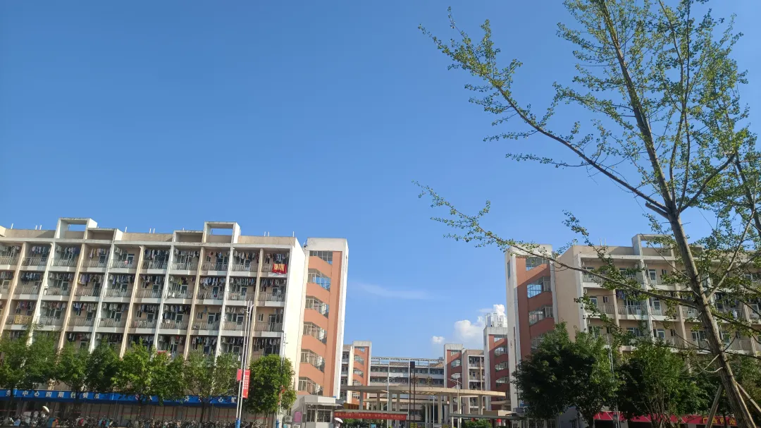 桂林游泳馆冠军是谁_桂林游泳馆冠军名单_桂林冠军游泳馆