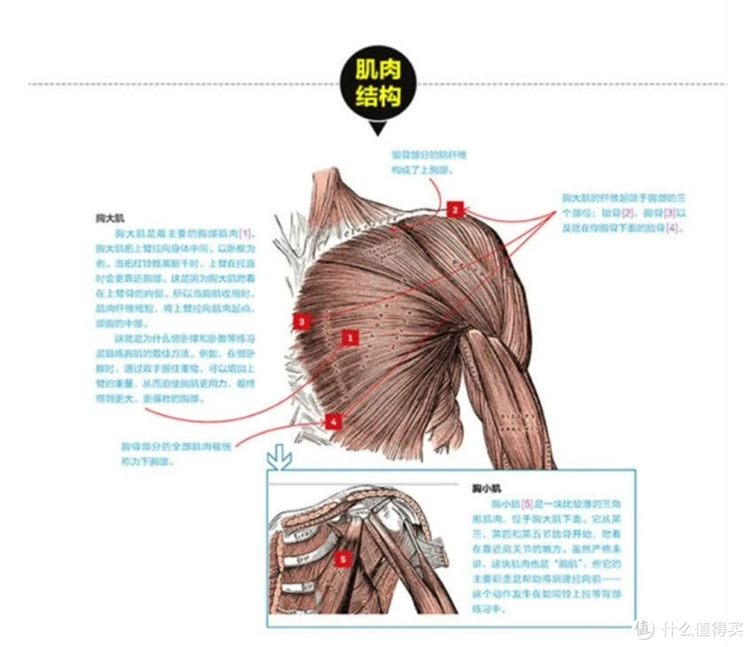爱健身女生看过来！《女性健身全书》真的绝了