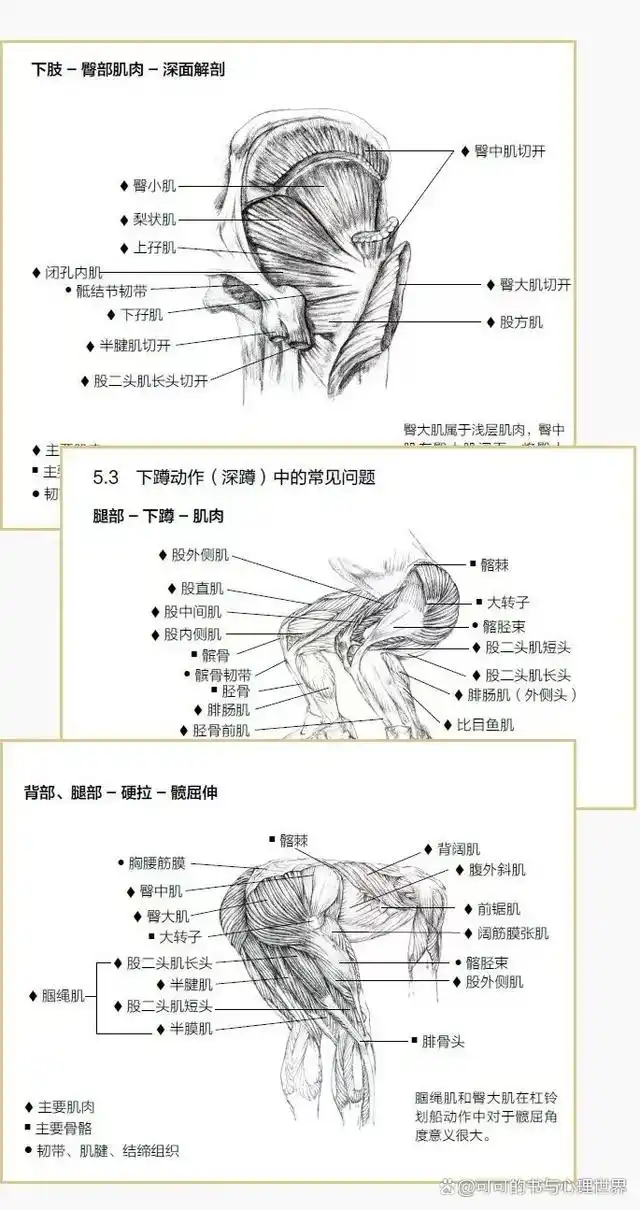 健身书看不懂最简单三个步骤_健身看的书_健身书本