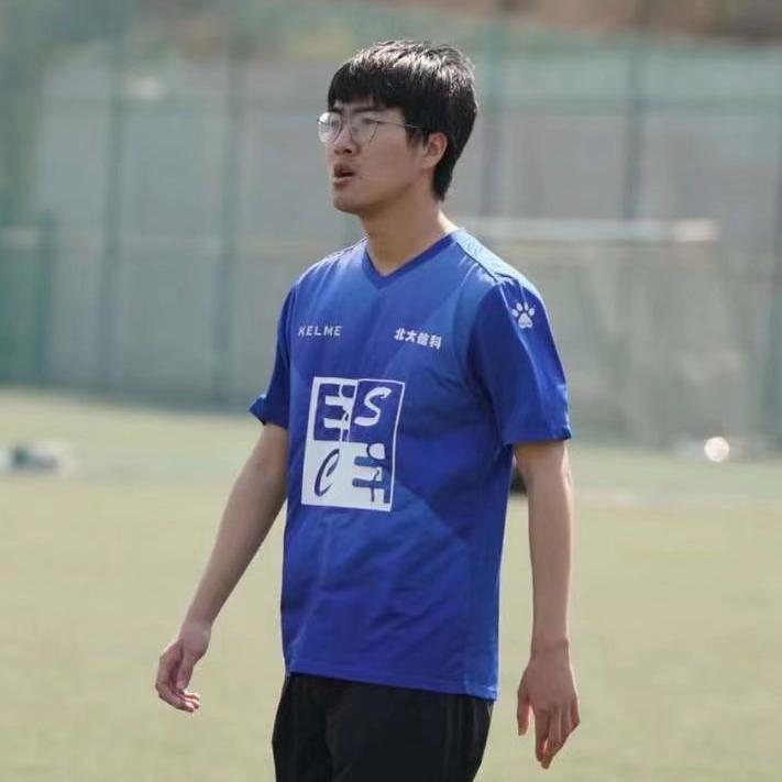 足球世界冠军杯叫什么杯_去年足球杯世界冠军_世界足球杯2022冠军是谁啊