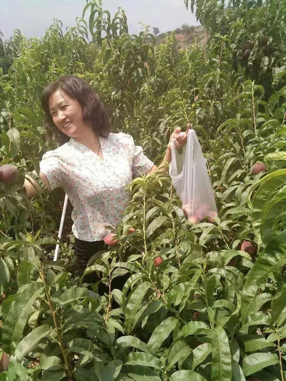 个旧营养餐_餐营养餐_营养餐的营养构成