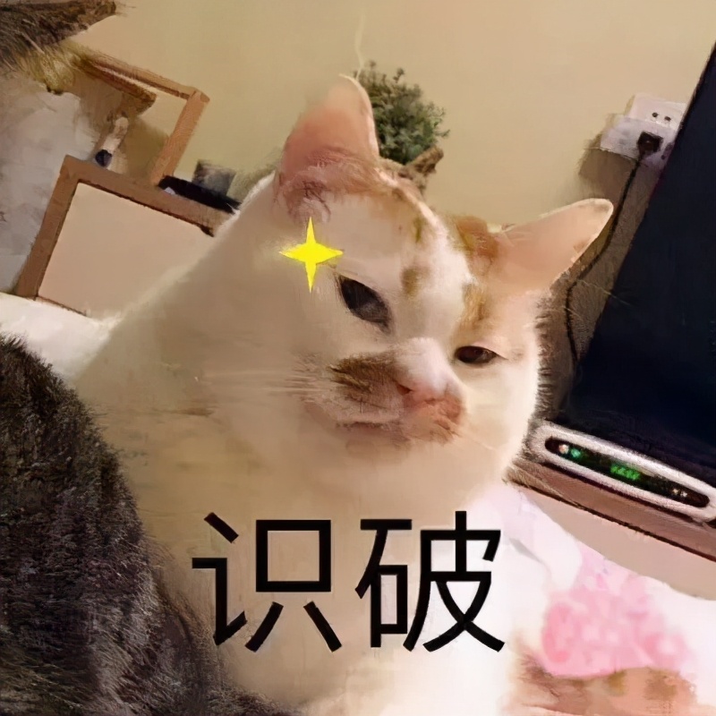 个旧营养餐_餐营养餐_营养餐的营养构成