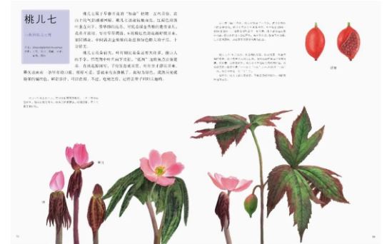 春天相关知识_春天生活知识百科_春天生活小常识的文章