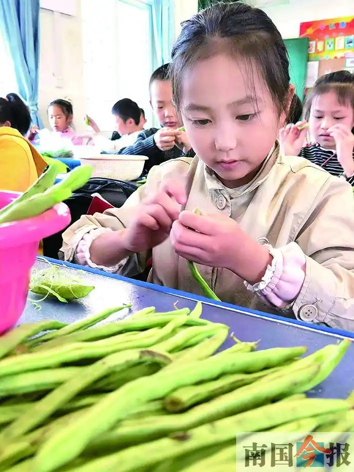小学上生活技能_小学生活技能包括什么_小学生活技能教案