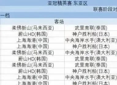 我国足球的冠军有哪些_足球冠军含金量_足球队冠军的国家