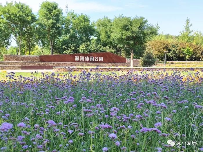 北京极限运动_极限运动官网_极限运动赛事