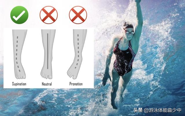 游泳脚法_游泳脚发力技巧_游泳时脚要怎么动