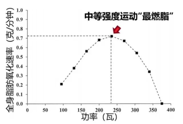 游泳冠军跳韩舞_游泳选手跳舞_韩国游泳冠军