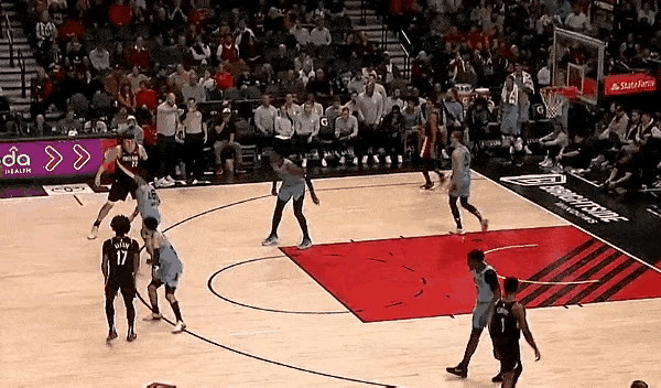 篮球冠军基因突变_nbas基因突变_篮球冠军基因突变